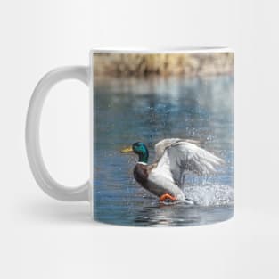 Canadian Ducks Flying on a Pond Mug